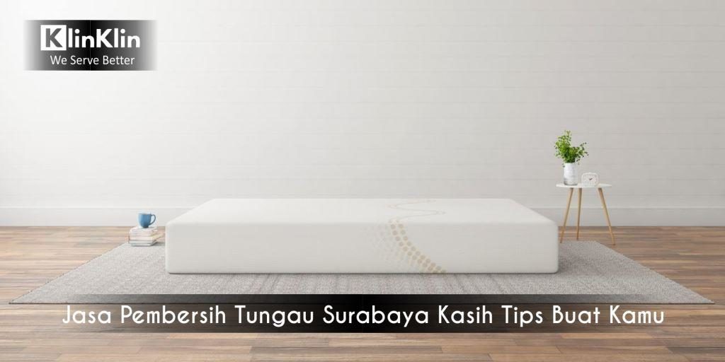 Jasa Pembersih Tungau Surabaya