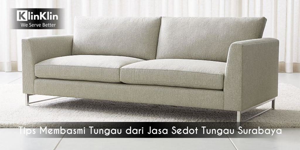 Jasa Sedot Tungau Surabaya