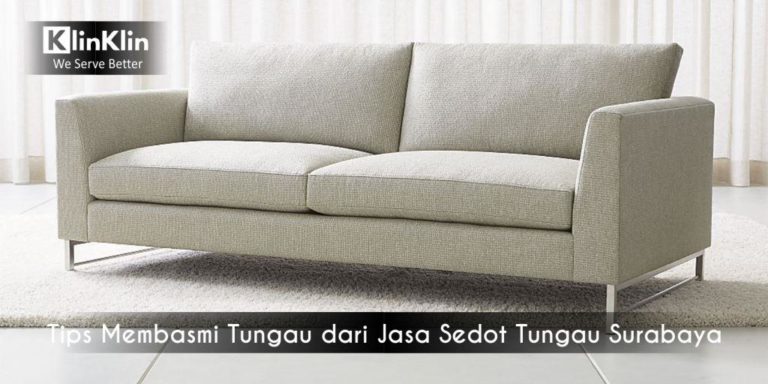 Jasa Sedot Tungau Surabaya