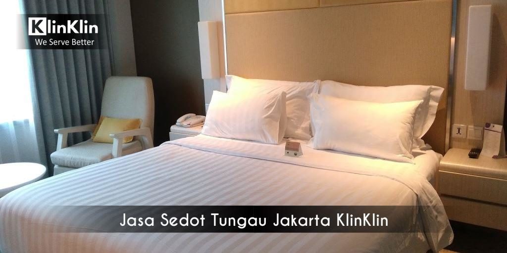 Jasa Sedot Tungau Jakarta
