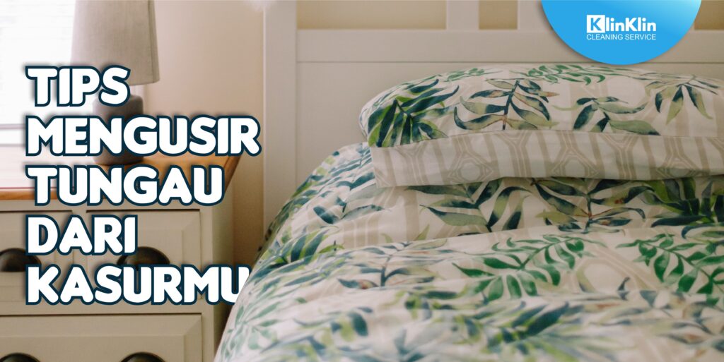 Tips Mengusir Tungau Dari Kasurmu