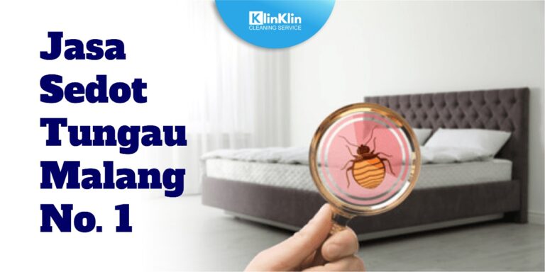 Jasa Sedot Tungau Malang