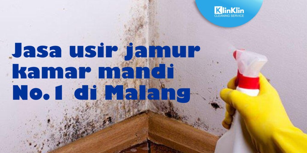 Jasa Usir Jamur Kamar Mandi No.1 di Malang