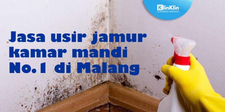 Jasa Usir Jamur Kamar Mandi No.1 di Malang