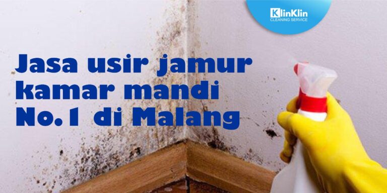 Jasa Usir Jamur Kamar Mandi No. 1 di Malang