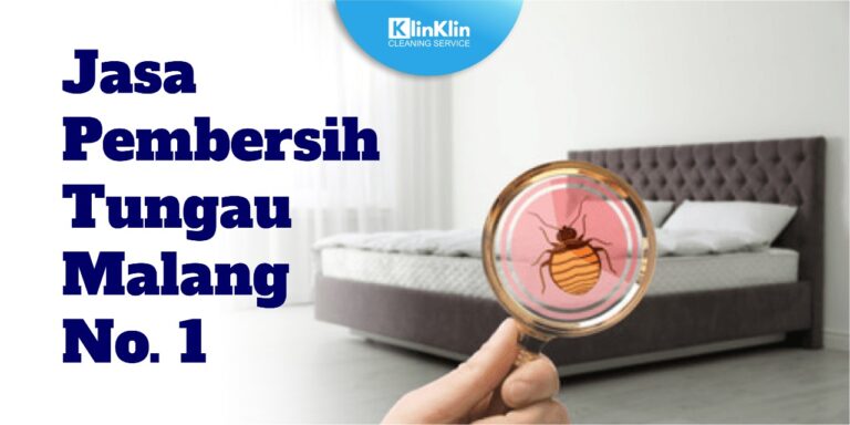 Jasa Pembersih Tungau Malang