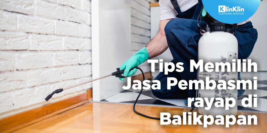 Tips Memilih Jasa Pembasmi Rayap Balikpapan