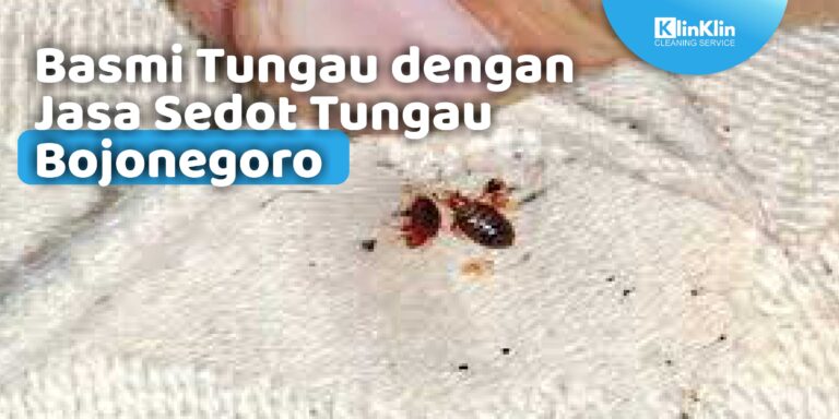 Jasa Sedot Tungau Bojonegoro