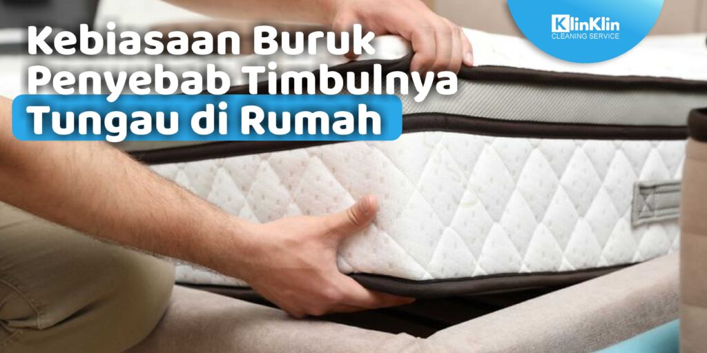 Kebiasaan Buruk Penyebab Timbulnya Tungau di Rumah