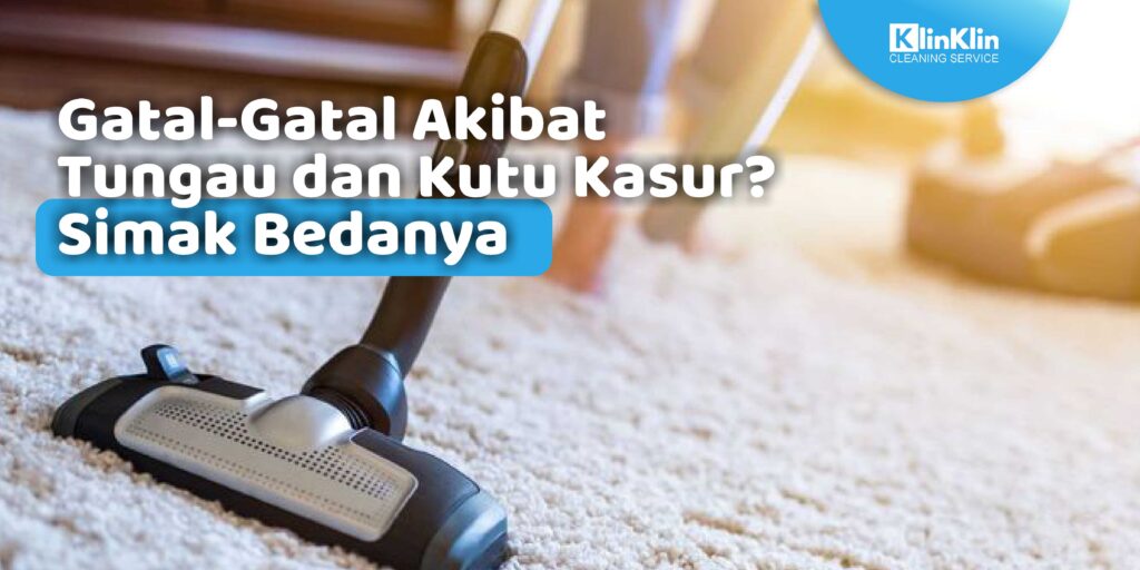 Gatal-Gatal Akibat Tungau dan Kutu Kasur