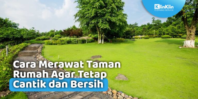 Cara Merawat Taman Rumah Agar Tetap Cantik dan Bersih