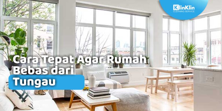 Cara Tepat Agar Rumah Bebas dari Tungau