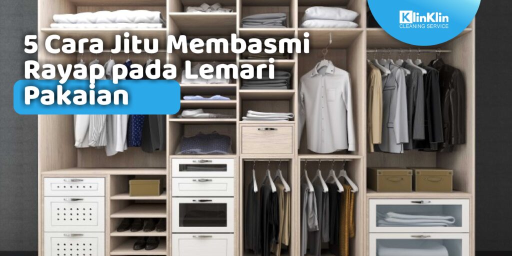 Cara Jitu Membasmi Rayap Pada Lemari Pakaian