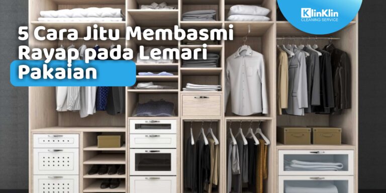 Cara Jitu Membasmi Rayap Pada Lemari Pakaian