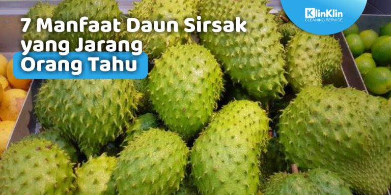 Manfaat Daun Sirsak