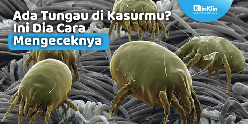 jasa cuci bed terbaik di Surabaya