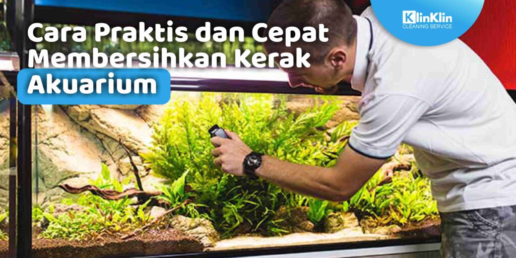 Membersihkan Kerak Akuarium