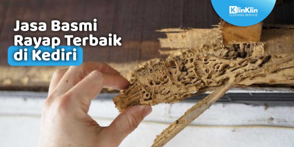 Jasa Basmi Rayap Terbaik di Kediri