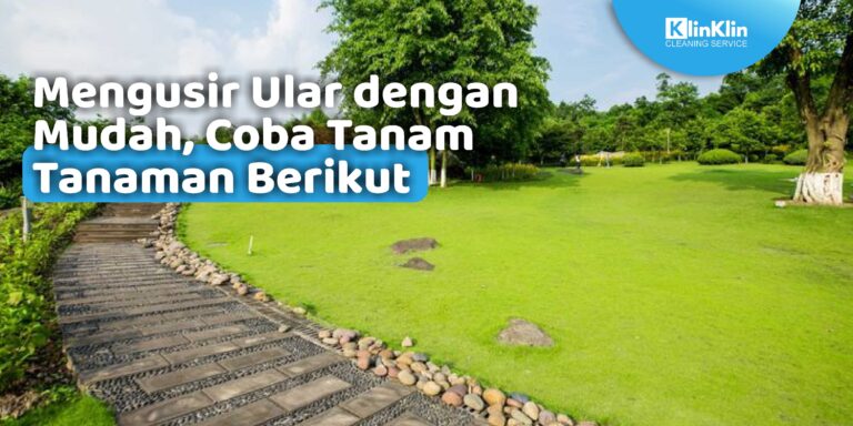 Mengusir Ular dengan Mudah