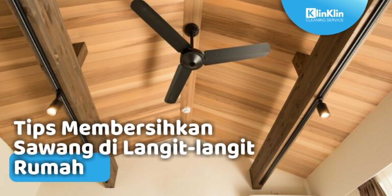 tips membersihkan sawang