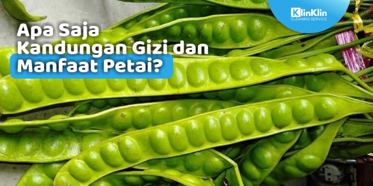 kandungan gizi dan manfaat petai