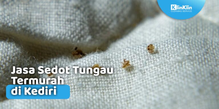 Jasa Sedot Tungau di Kediri