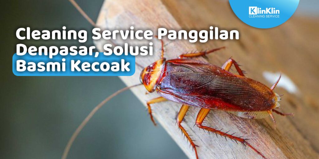 Cleaning Service Panggilan Denpasar