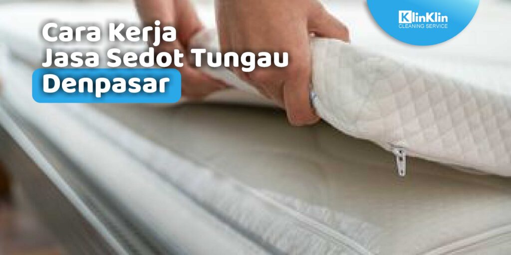 Jasa Sedot Tungau Denpasar