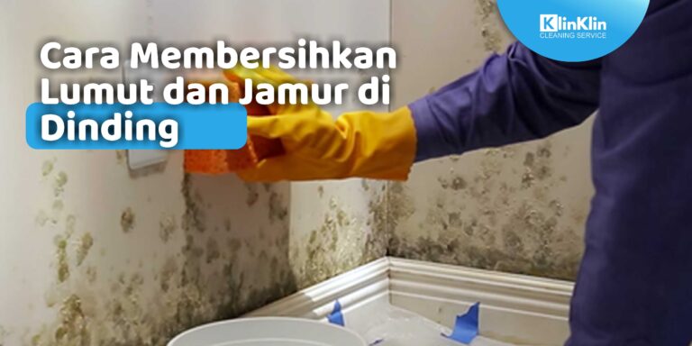 Cara Membersihkan Lumut dan Jamur
