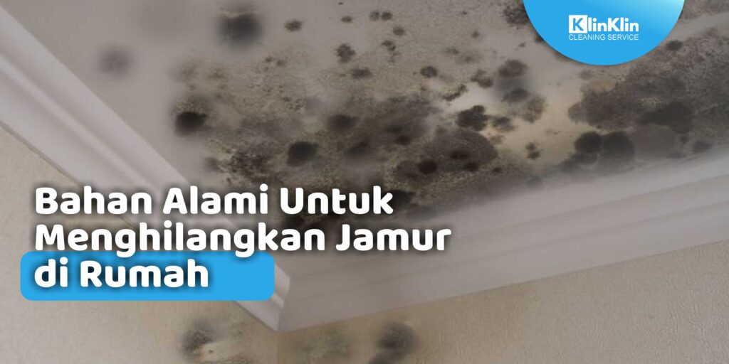 Cleaning Service No.1 di Bali