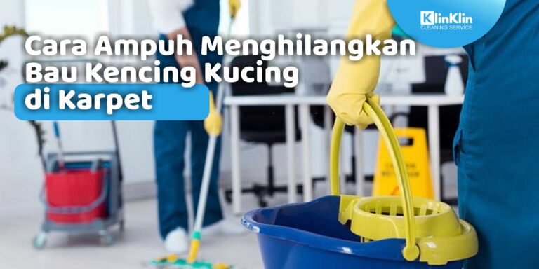 Cara Ampuh Menghilangkan Bau Kencing Kucing