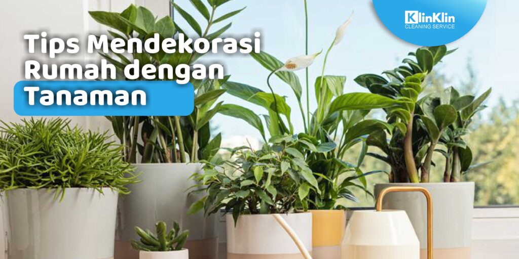 Tips Mendekorasi Rumah dengan Tanaman
