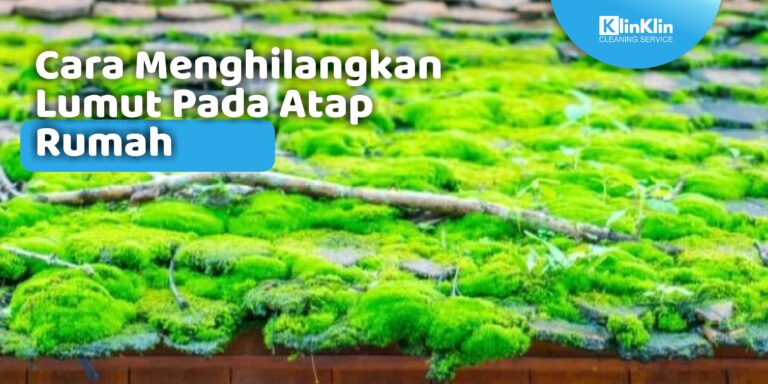 Cara Menghilangkan Lumut pada Atap