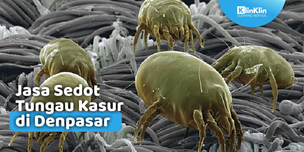 Jasa Sedot Tungau Kasur di Denpasar