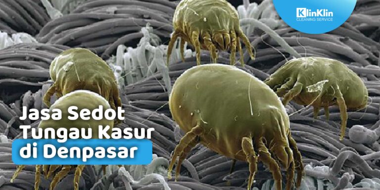 Jasa Sedot Tungau Kasur di Denpasar