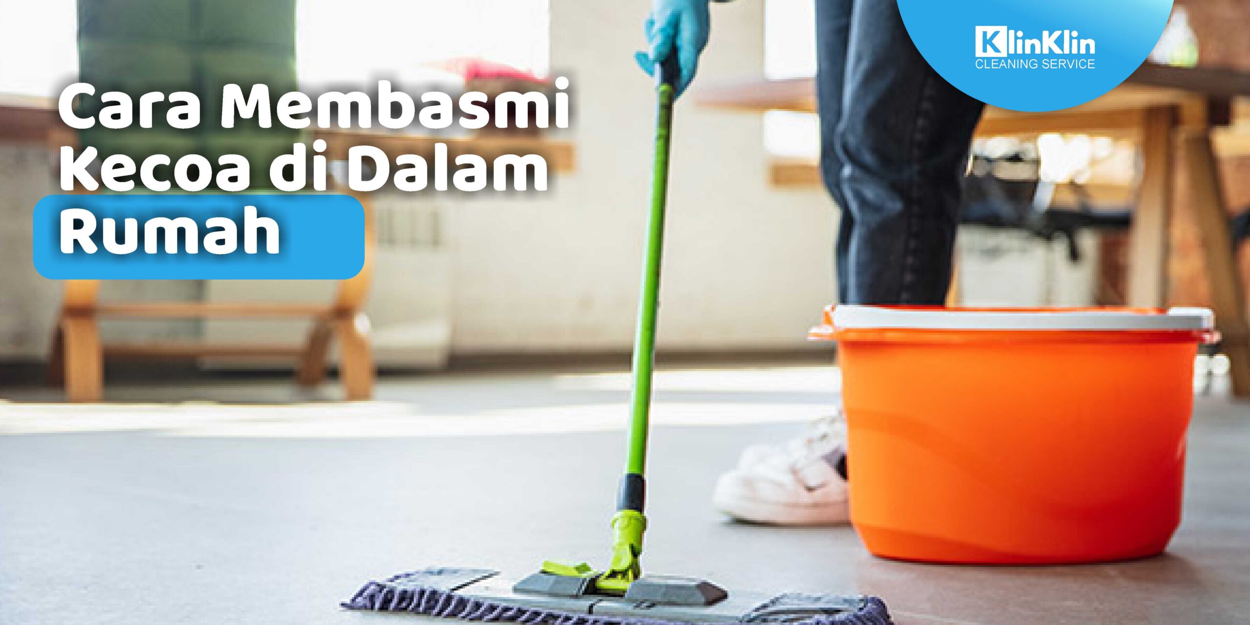 Cara Membasmi Kecoa di Dalam Rumah