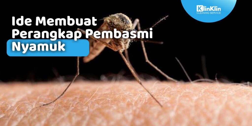 Ide Membuat Perangkap Pembasmi Nyamuk