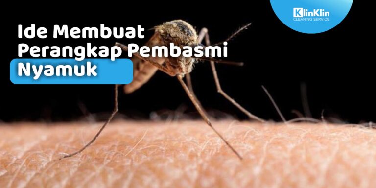 Ide Membuat Perangkap Pembasmi Nyamuk
