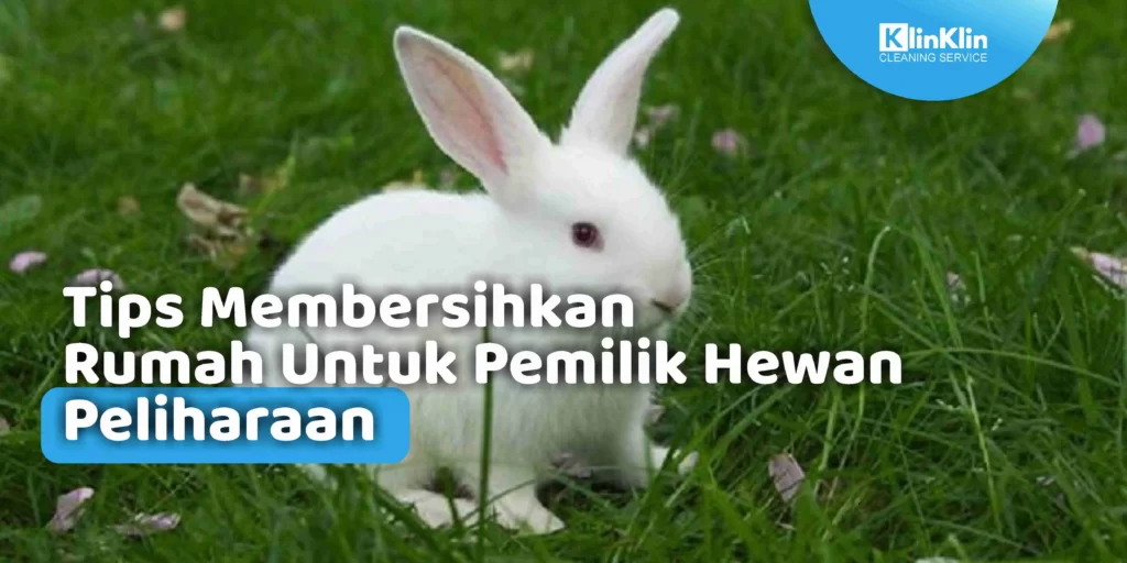 Tips Membersihkan Rumah