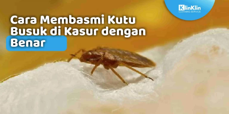 Jasa Vakum Tungau di Surabaya