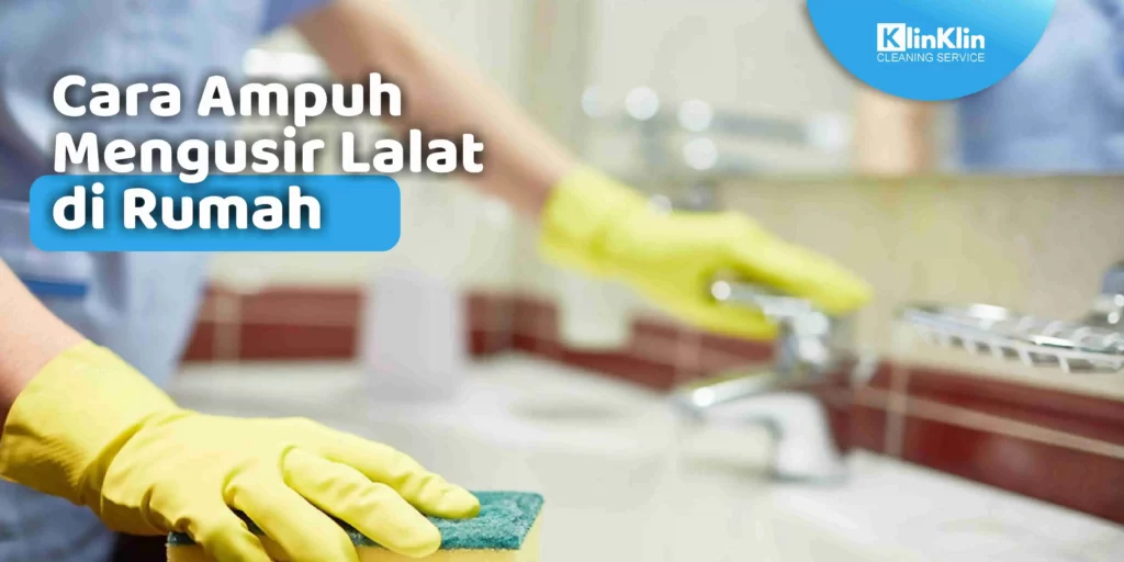 Cara Ampuh Mengusir Lalat di Rumah