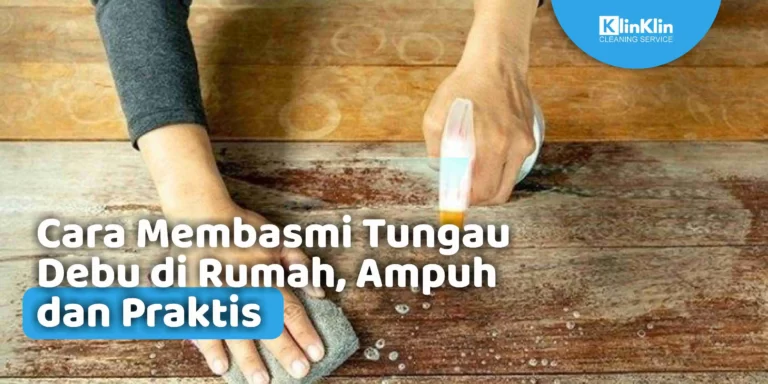 cara membasmi tungau debu di rumah