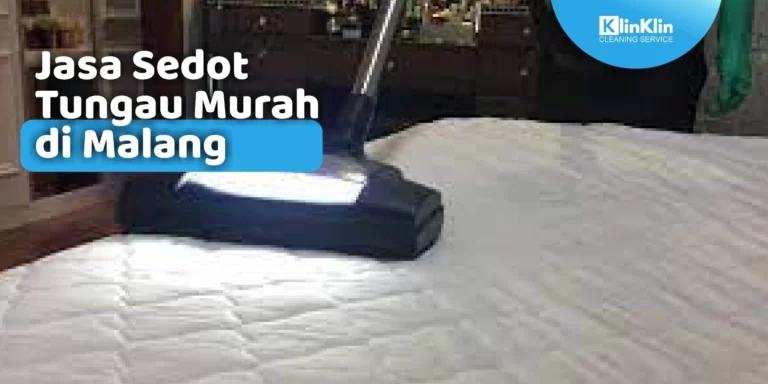 Jasa Sedot Tungau di Malang