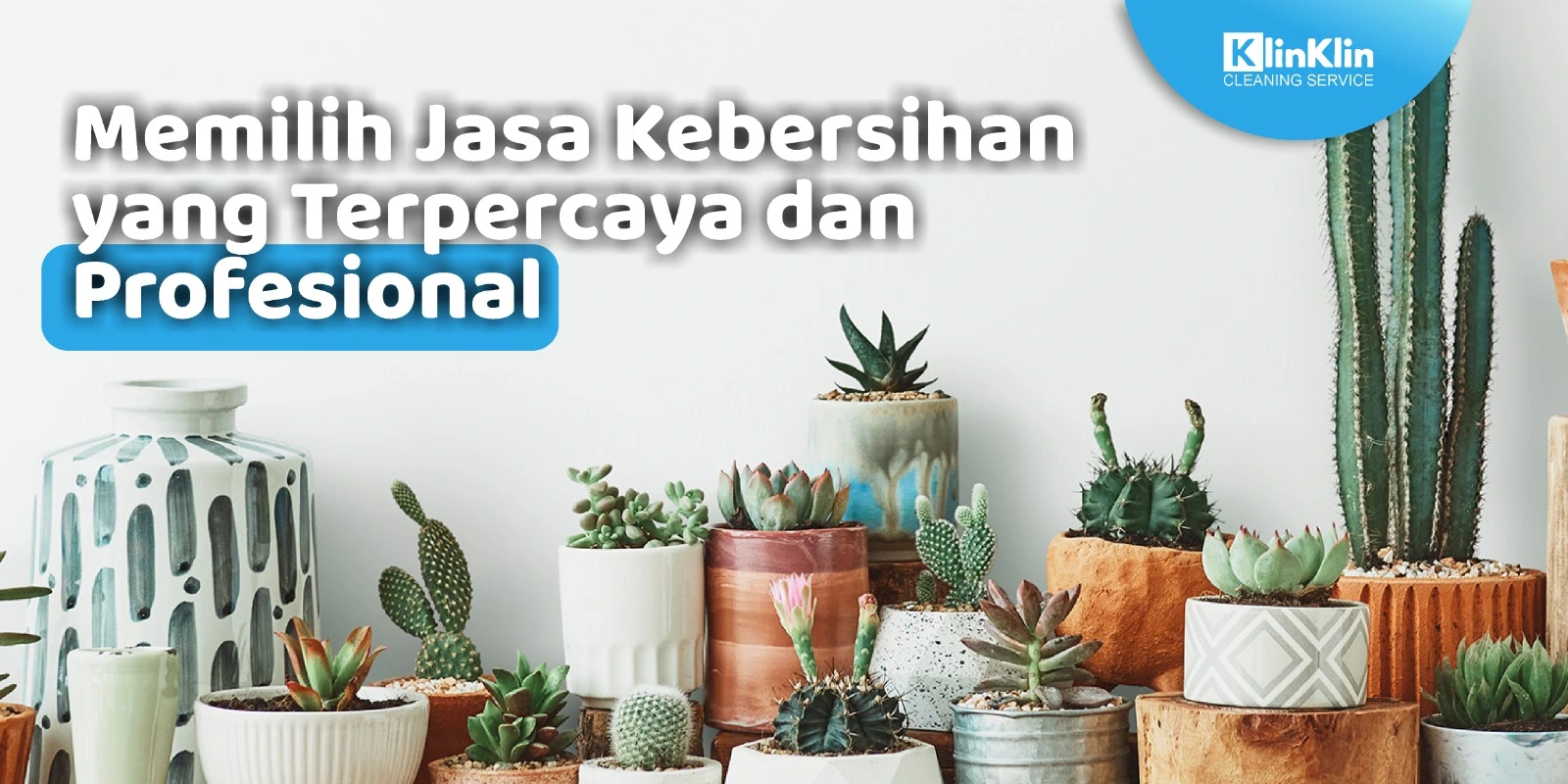 Memilih Jasa Kebersihan yang Terpercaya dan Profesional
