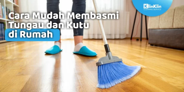 Cara Mudah Membasmi Tungau di Rumah