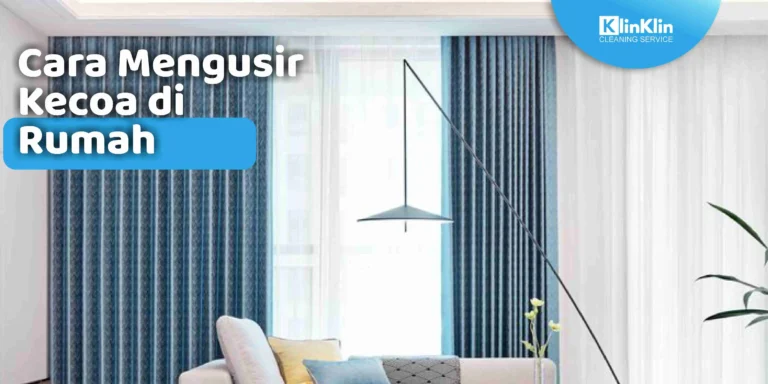 Cara Mengusir Kecoa di Rumah
