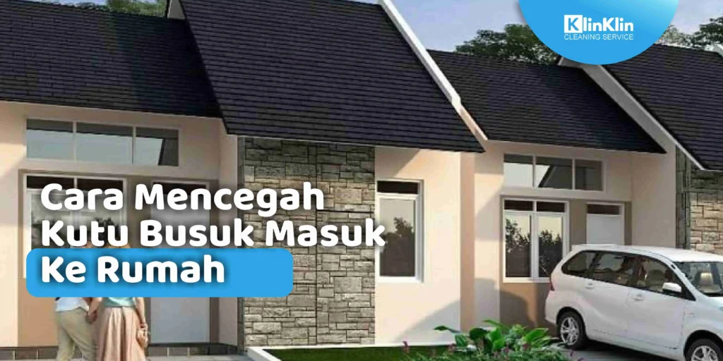 Cara Mencegah Kutu Busuk Masuk Ke Rumah
