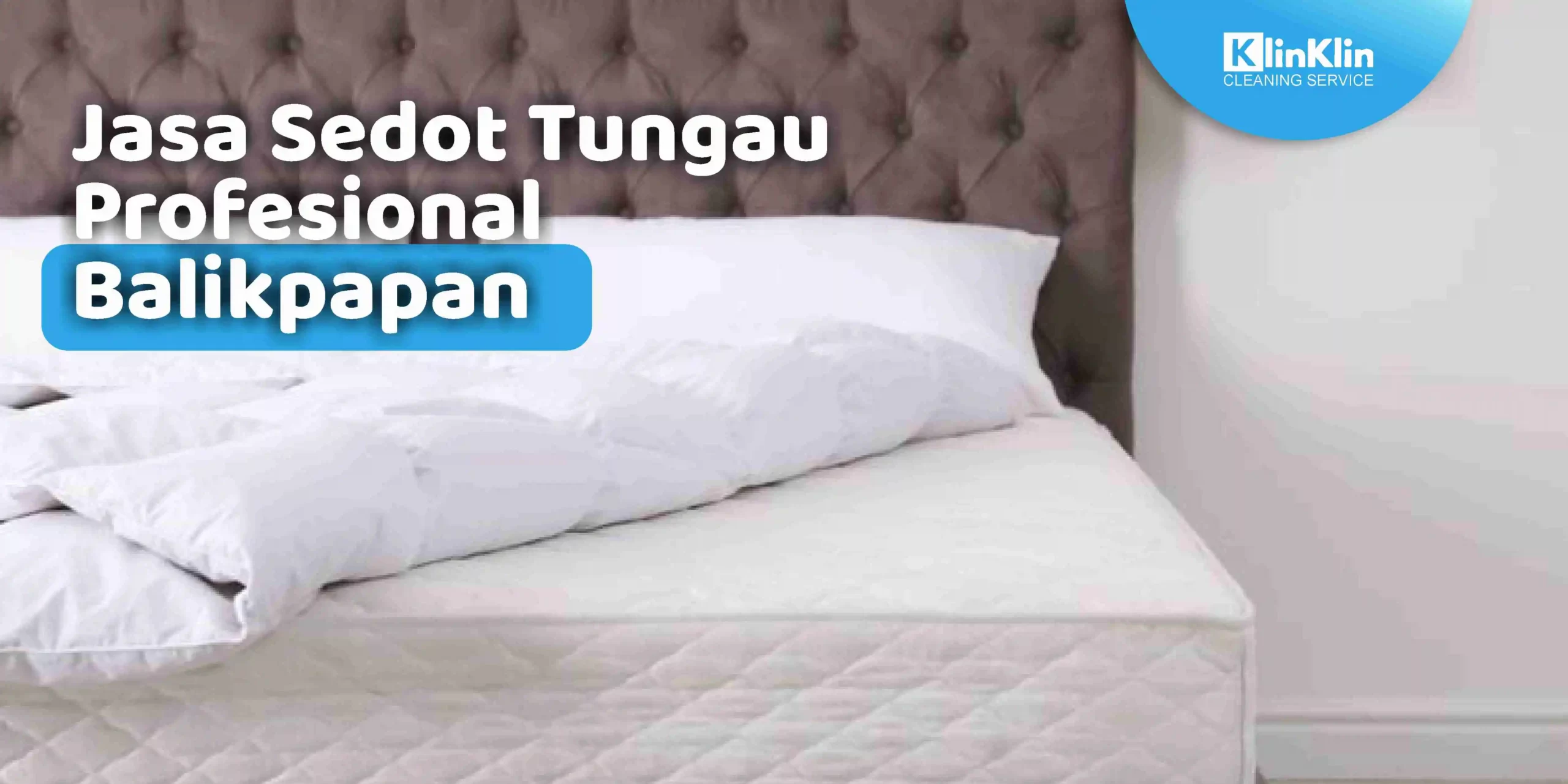 Jasa Sedot Tungau Profesional Balikpapan