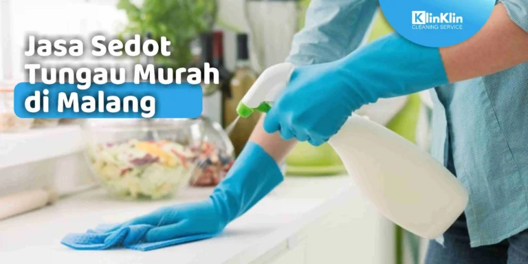 Jasa Sedot Tungau di Malang