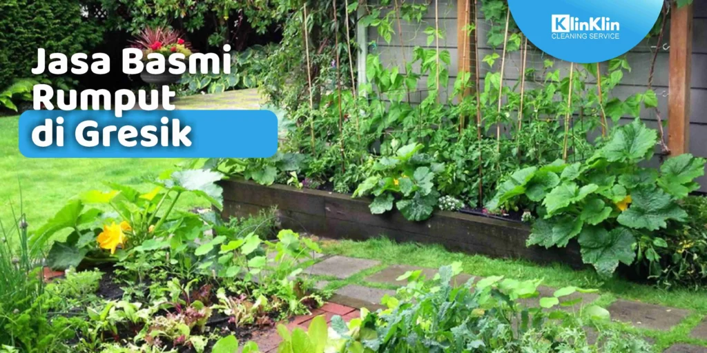 Jasa Basmi Rumput di Gresik